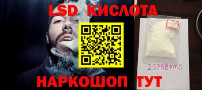 стаф Сланцы