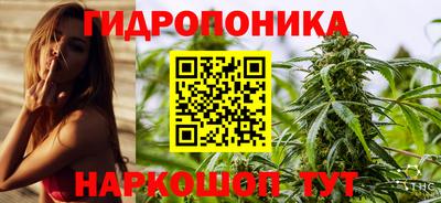 стаф Сланцы