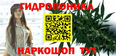 стаф Сланцы