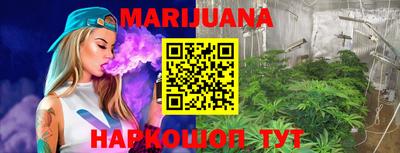 стаф Сланцы