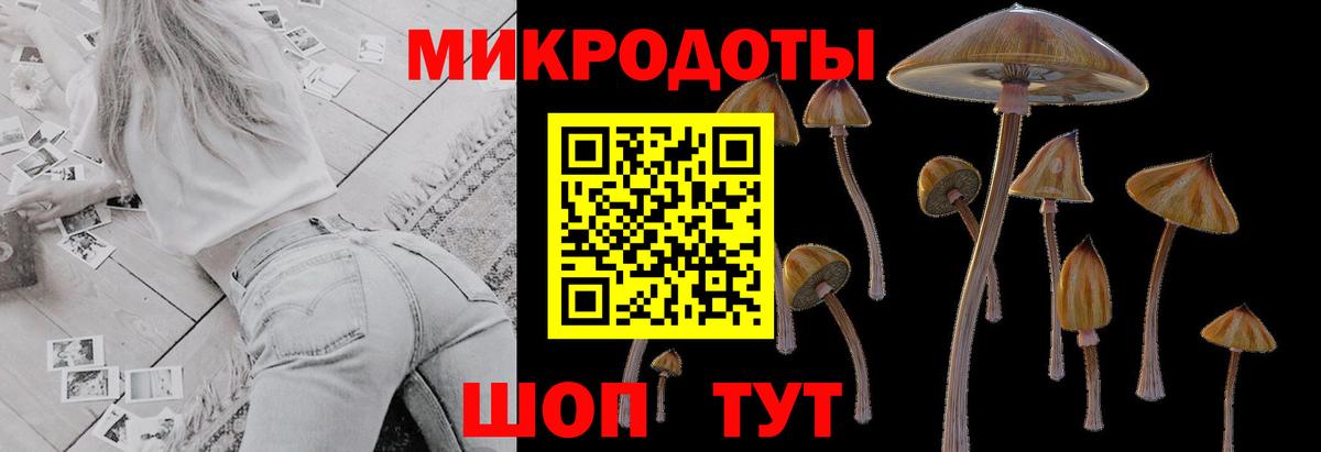 Галлюциногенные грибы Magic Shrooms Нефтекумск