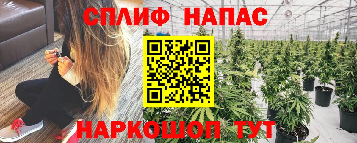 Канабис план  Канабис VHQ  Конопля VHQ  Каннабис SATIVA & INDICA  Вход с VPN  Нефтекумск 